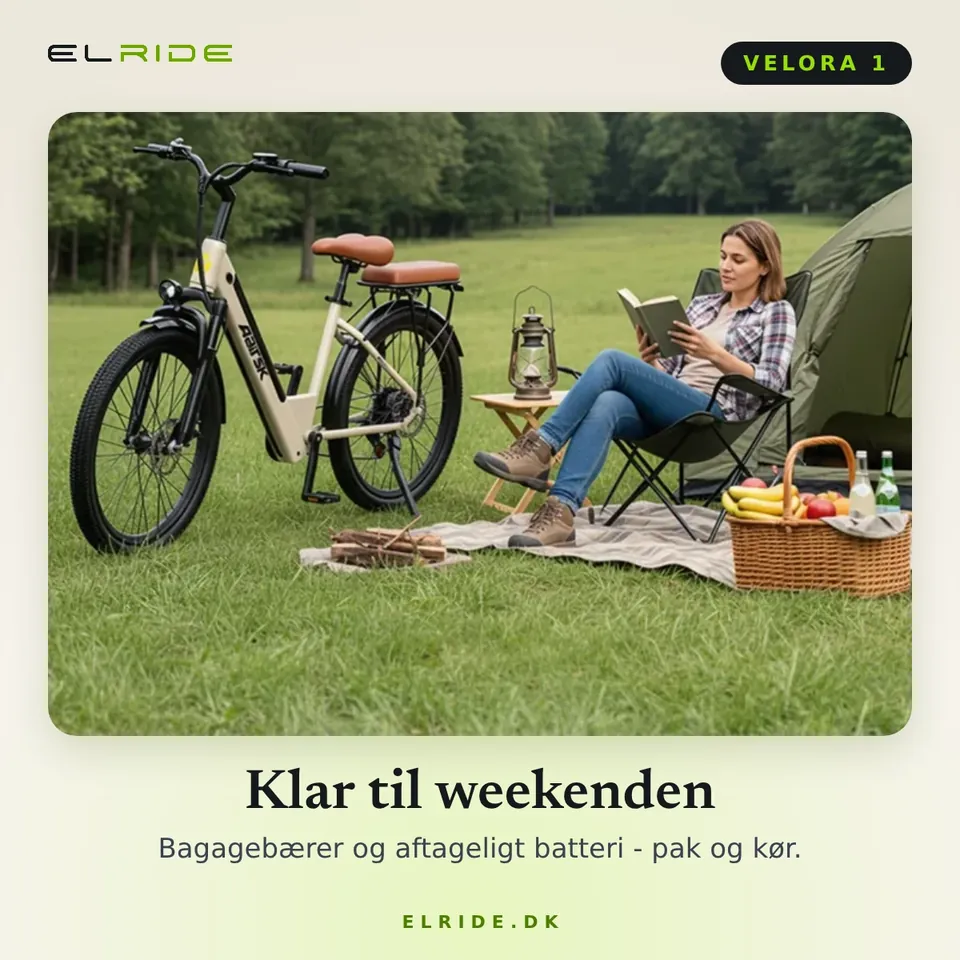 Detaljekort for VELORA 1: cyklen med bagagebærer og aftageligt batteri